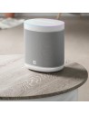 Xiaomi Mi Smart Speaker Google Assistant