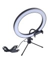 Set de Grabación Anillo LED Regulable 26cm + Mini Trípode con Soporte Smartphone
