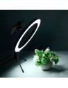 Set de Grabación Anillo LED Regulable 26cm + Mini Trípode con Soporte Smartphone