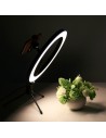 Set de Grabación Anillo LED Regulable 26cm + Mini Trípode con Soporte Smartphone