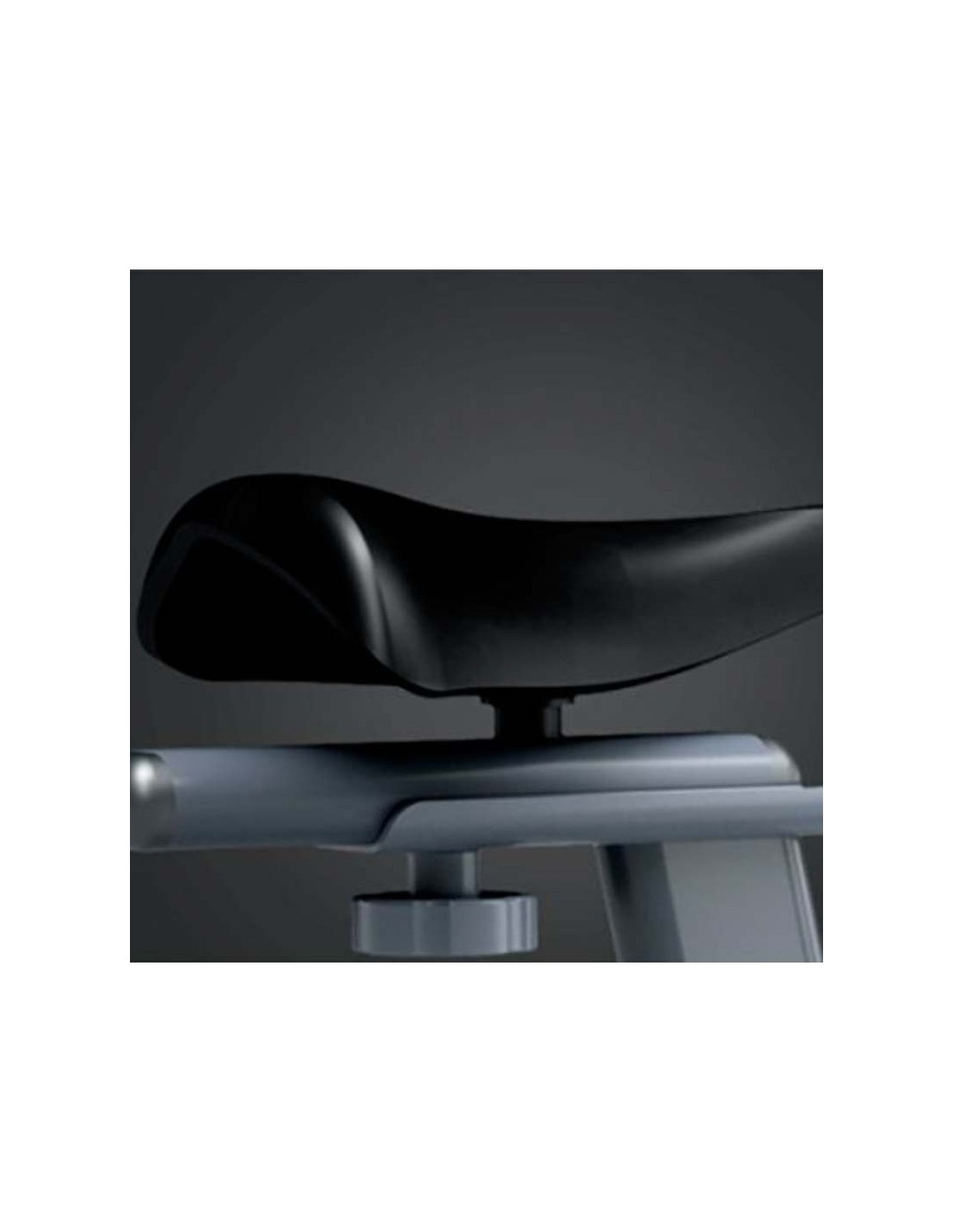 Bicicleta Spinning OVICX Q200B Bluetooth