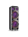Altavoz con Bluetooth NGS Wild Dub 2/ 800W