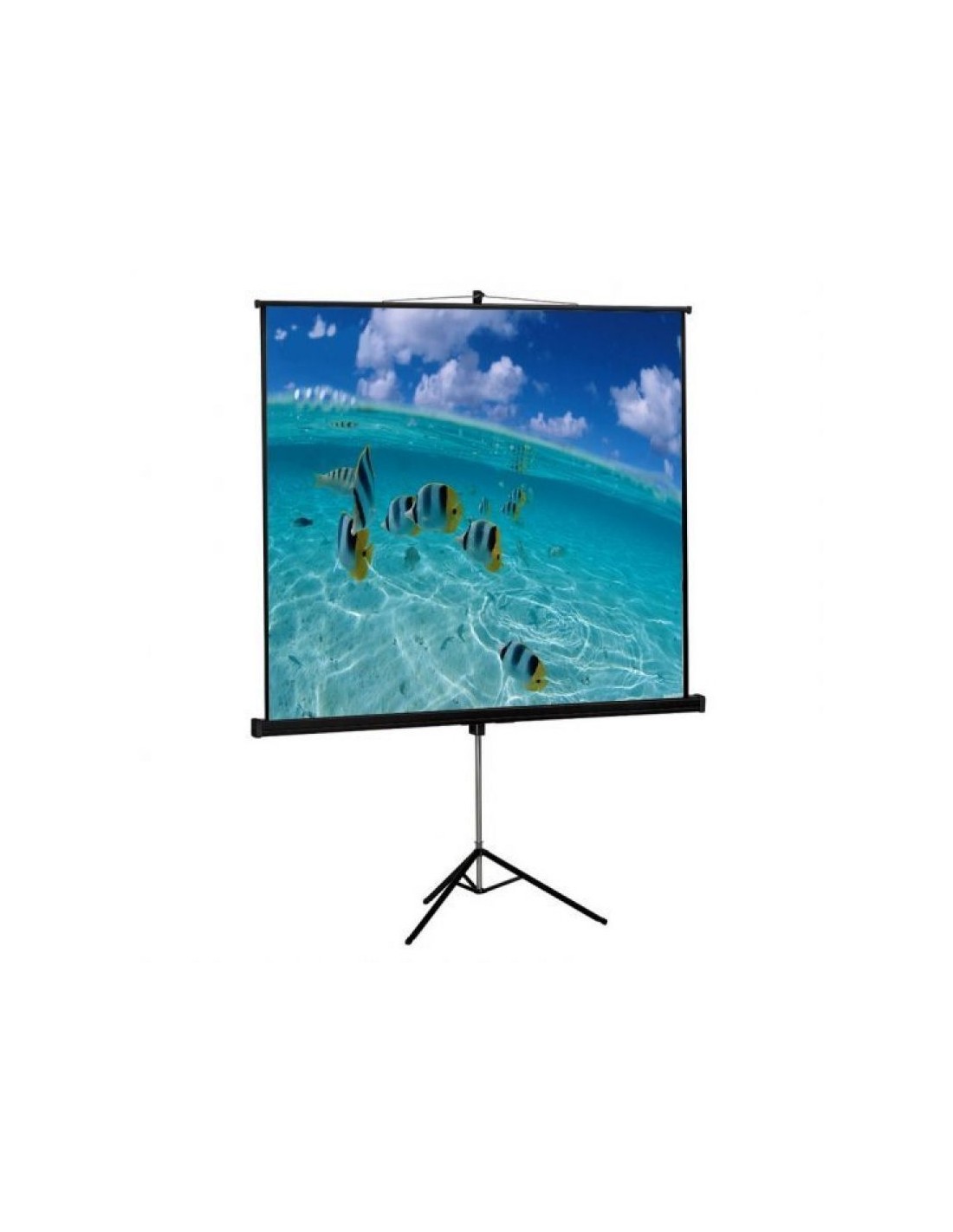 Pantalla de Proyección con Trípode Approx appP200T/ 200 x 200cm