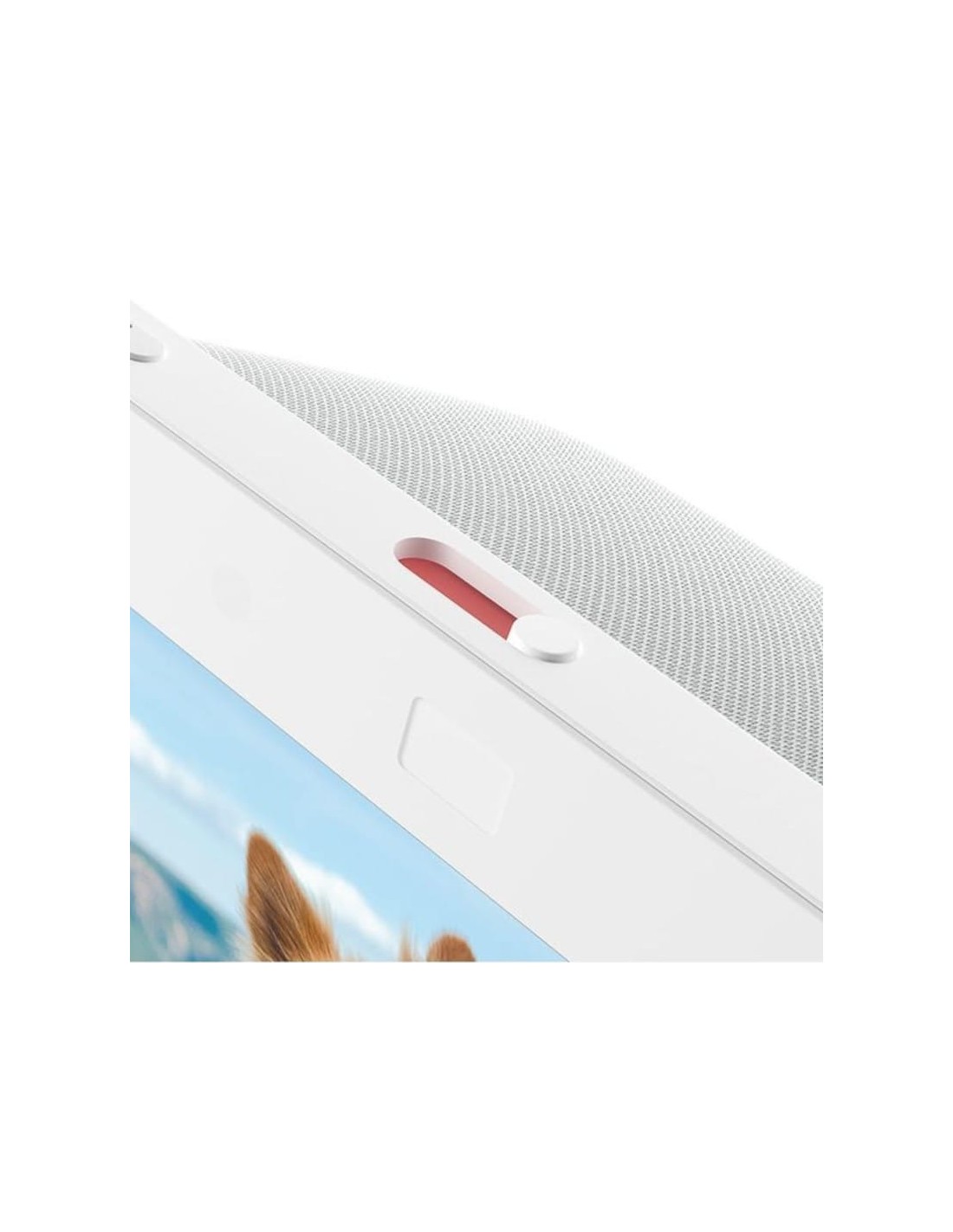 Amazon Echo Show 8 3ª Gen Blanco · Hub Zigbee Matter · Logroño