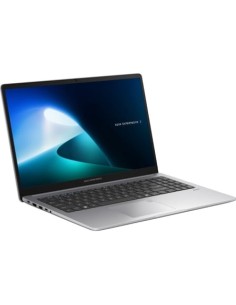 Portátil Asus ExpertBook P1 P1503CVA-S72890 16GB/512GB en Logroño 2