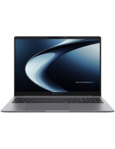 Portátil Asus ExpertBook P3 PM3606CKA-PL0840 en Logroño