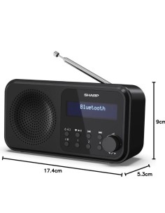 Sharp DR-P420 Bluetooth DAB+ FM Radio digital portátil en Logroño 2