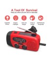 Stonego FM Radio de emergencia en Logroño