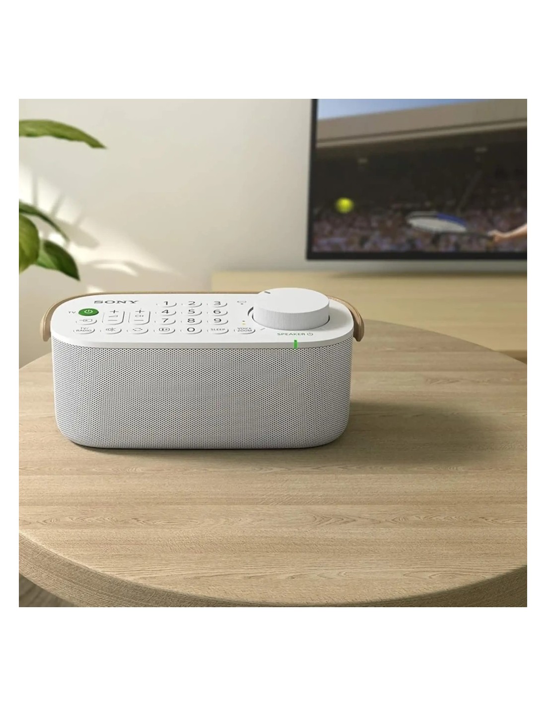 Altavoz Bluetooth Sony SRS-LSR200 en Logroño