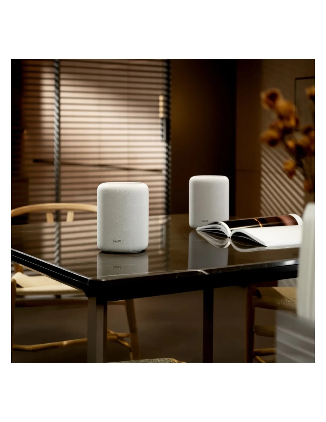 Altavoz inteligente WiiM Sound Lite compatible con Alexa en Logroño