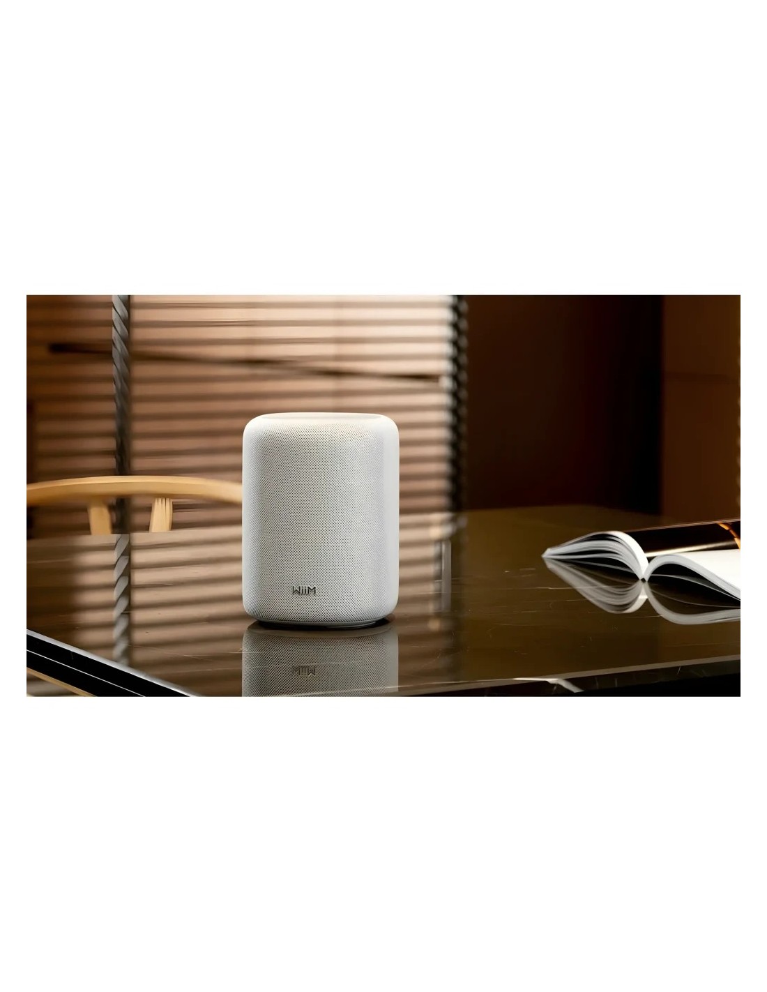 Altavoz inteligente WiiM Sound Lite compatible con Alexa en Logroño
