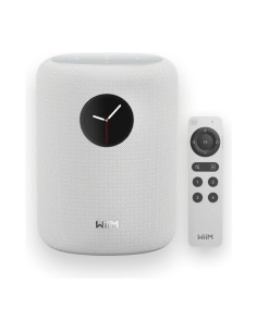 Altavoz inteligente WiiM Sound con pantalla táctil compatible con Alex