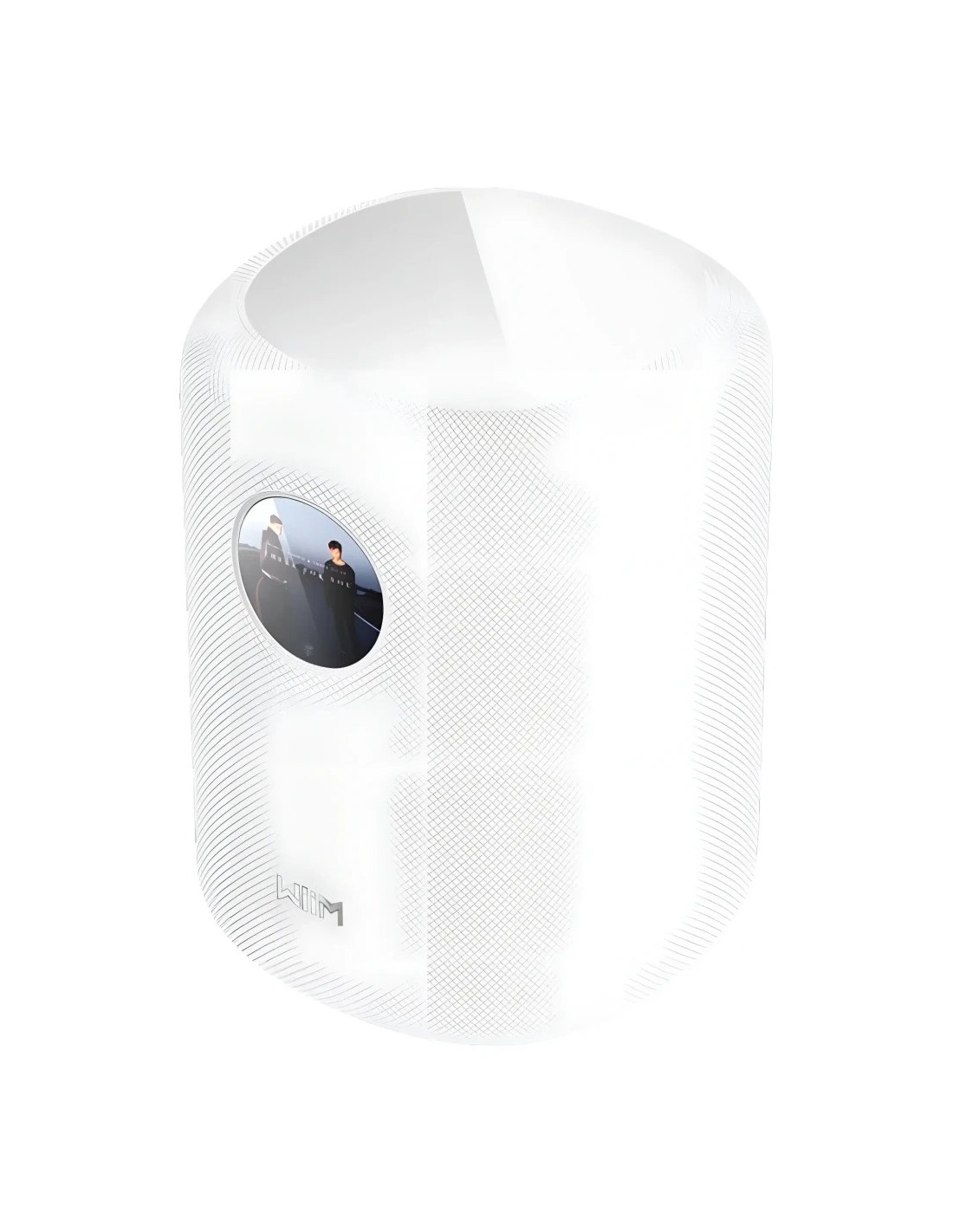 Altavoz inteligente WiiM Sound con pantalla táctil compatible con Alex