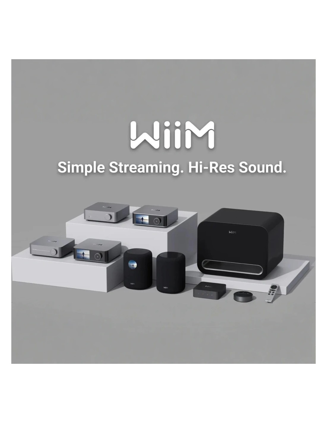 Wiim Sub Pro Clase D Bluetooth WiFi Subwoofer en Logroño