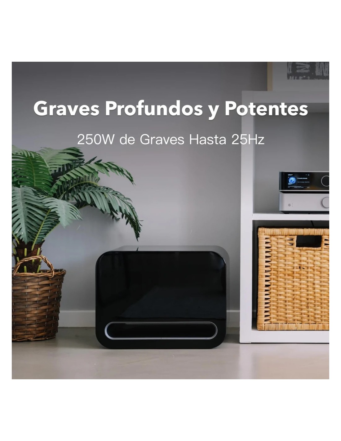 Wiim Sub Pro Clase D Bluetooth WiFi Subwoofer en Logroño