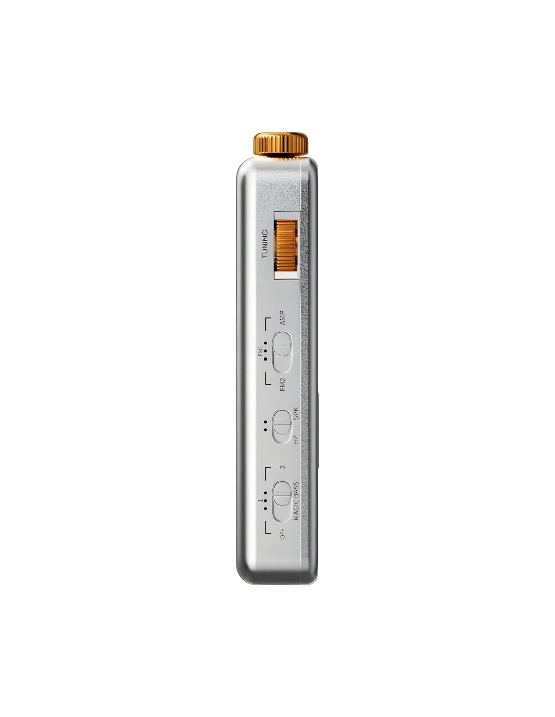 FiiO RR13 Batería Li-ion extraíble FM 87–108 MHz Radio recargable