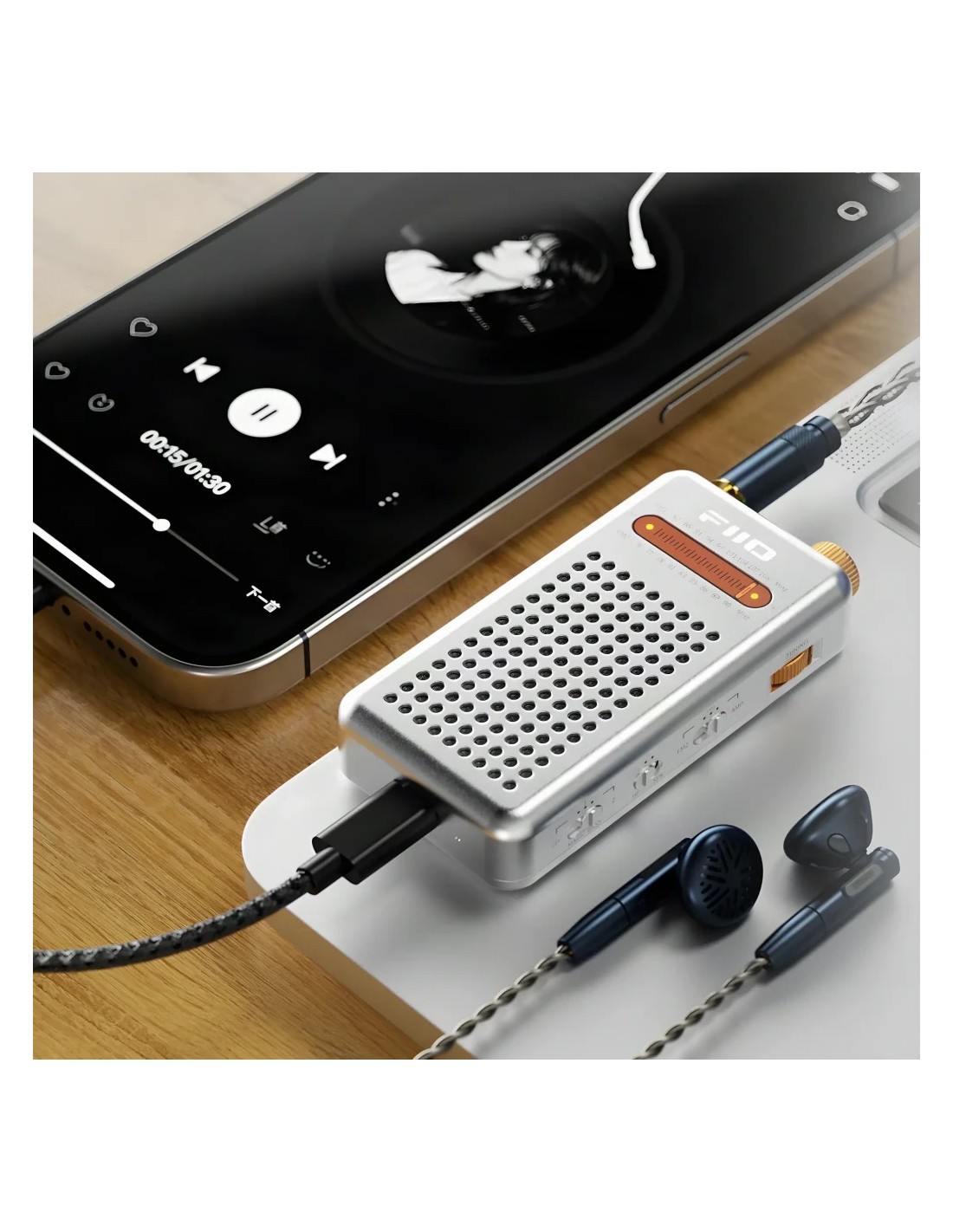 FiiO RR13 Batería Li-ion extraíble FM 87–108 MHz Radio recargable