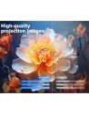 Proyector Magcubic HY450 NTV en Logroño