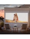 Proyector Hisense M2 Pro en Logroño