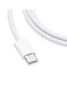 Cable de carga Apple Original USB-C de 60 W 1M USB 3.2 Gen 1 Blanco