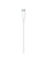 Cable Apple Lightning a USB-C 1m en Logroño
