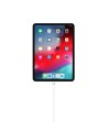 Cable Apple de carga USB-C 1m en Logroño