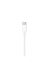 Cable Apple - USB-C a Lightning 2M en Logroño