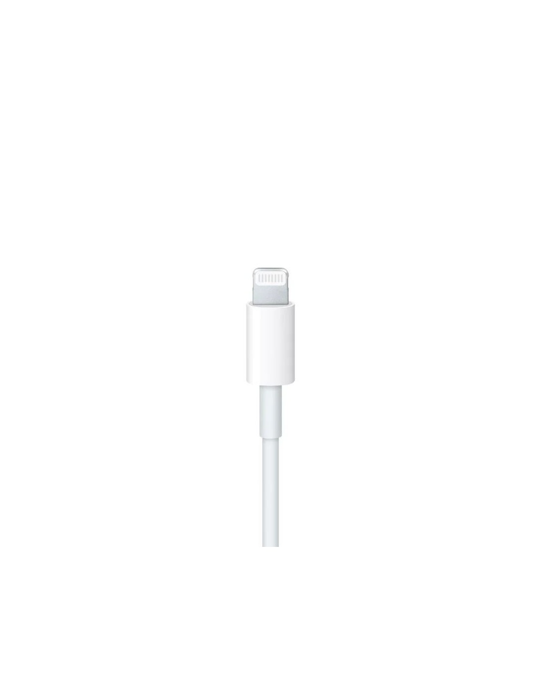 Cable Apple - USB-C a Lightning 2M en Logroño