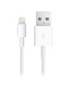 Cable Apple USB 2.0 a Lightning 2m en Logroño