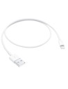 Cable Apple Lightning a USB 0.5m en Logroño
