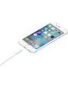 Cable Apple Lightning a USB 0.5m en Logroño