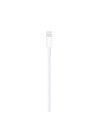Cable Apple Lightning a USB 0.5m en Logroño