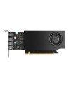 Tarjeta gráfica PNY RTX A400 4GB GDDR6 Low Profile (Sin adaptadores) P
