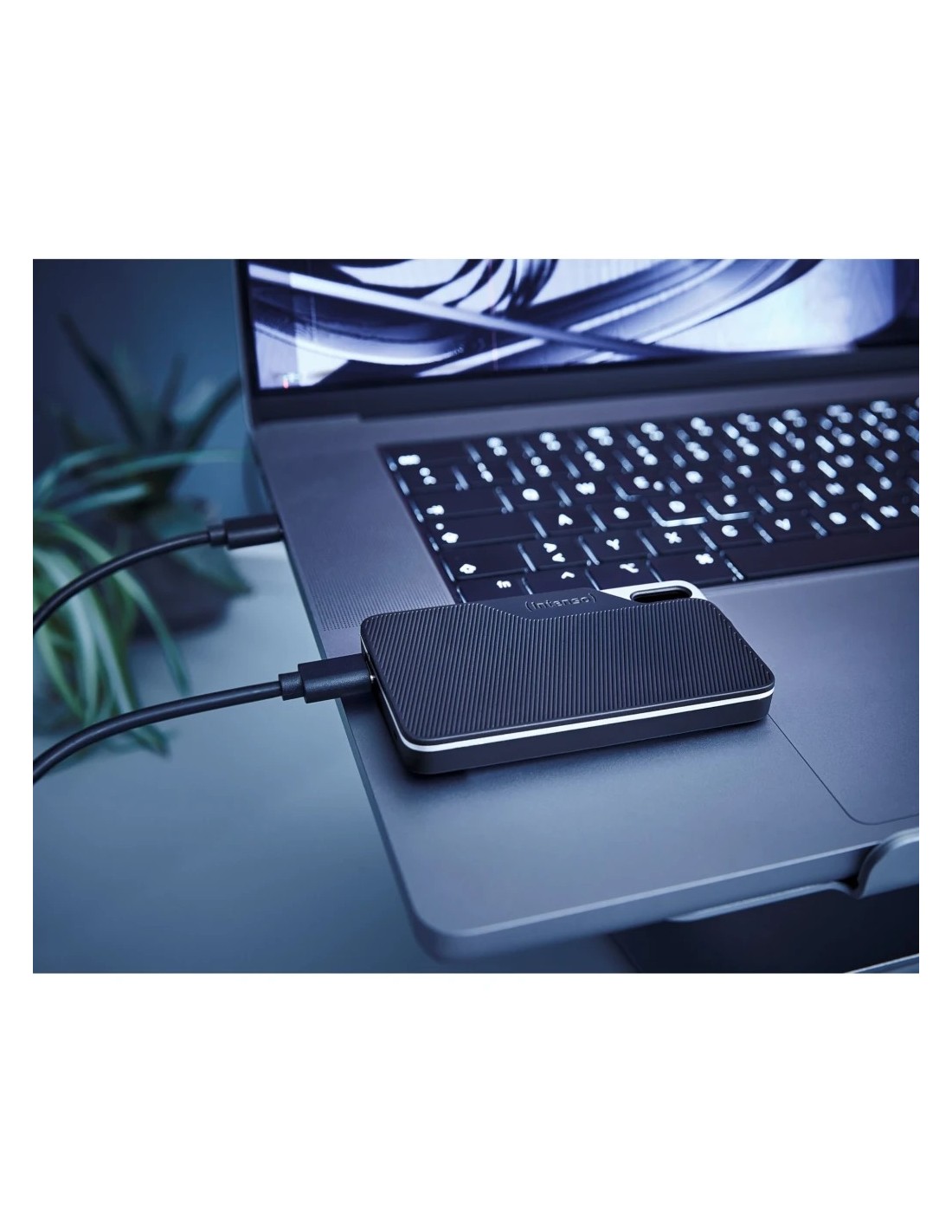 Intenso TX100 USB-C en Logroño