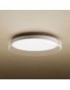 Lámpara inteligente Xiaomi Smart Ceiling Light D20 900 lm 250 mm 2700-