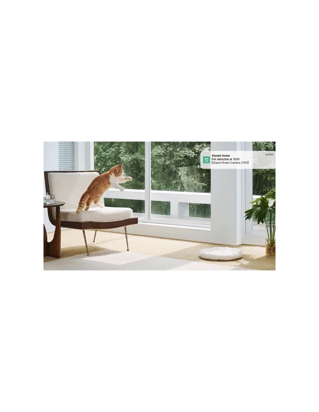 Cámara de vigilancia Xiaomi Smart Camera C701 en Logroño