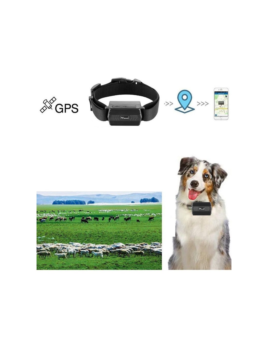 Localizador GPS TKSTAR TK935 2G 3000mAh 5 días en Logroño