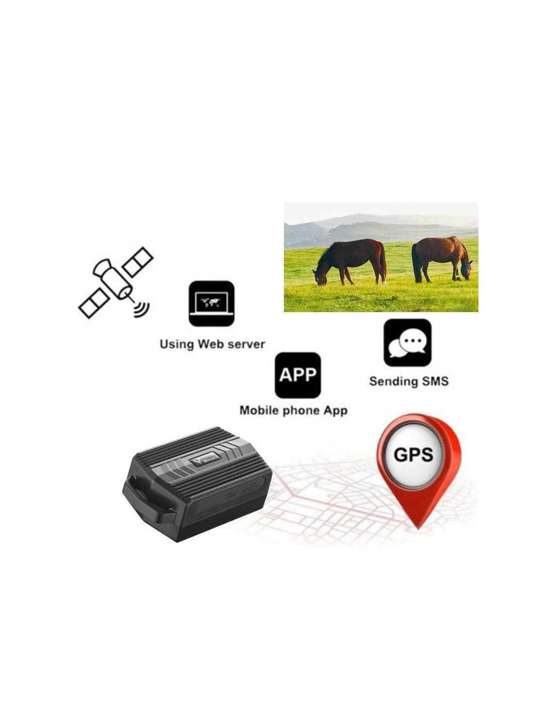 Localizador GPS TKSTAR TK935 2G 3000mAh 5 días en Logroño