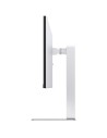 Monitor Profesional Ultrapanorámico LG 34BF550B-W 34", WFHD, Multimedi