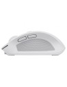 Ratón Inalámbrico Trust Ozaa Compact Wireless, Batería recargable, Has