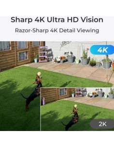 Cámara de vigilancia Reolink W437 Zoom 5X 4K Exterior WiFi en Logroño 2