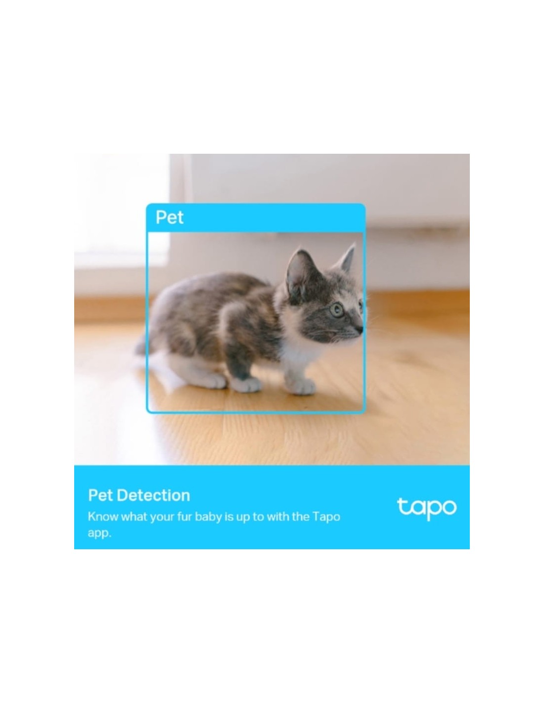Cámara de vigilancia TP-Link Tapo C225 Escritorio Negro/Blanco