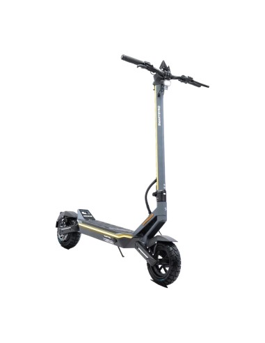 Patinete eléctrico SmartGyro Raptor Evo 1000W 60km 25km/h 10 pulgadas 140kg plegable