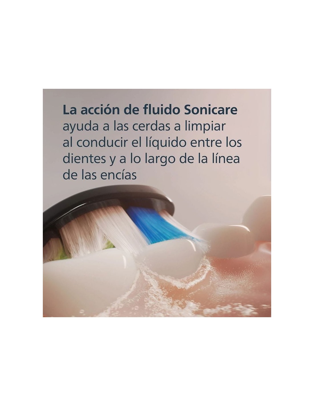 Philips Sonicare W2 Optimal White HX6064/11 Negro - 4 cabezales para c