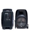 ALTAVOCES AUTOAMPLIFICADOS 400W TS12 THUNDERSOUND BIWOND