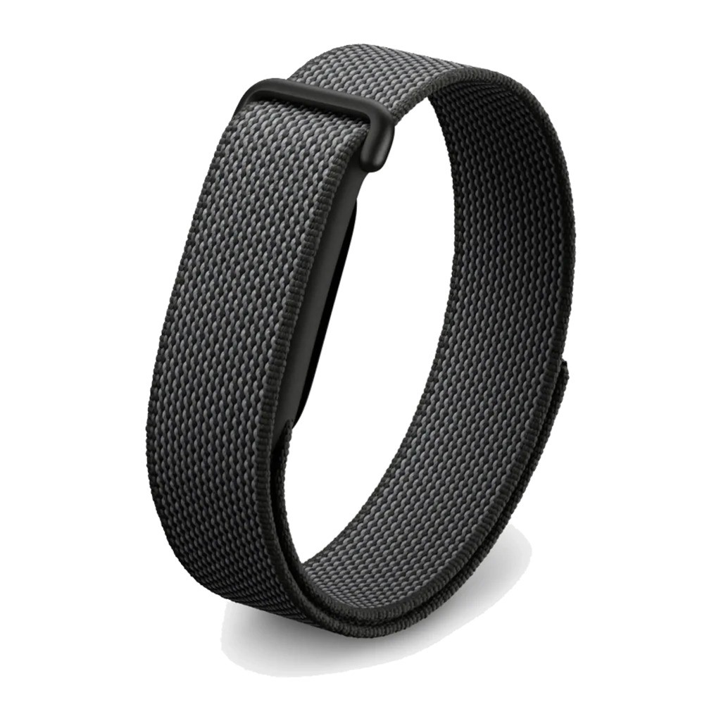 Google Fitbit Air
