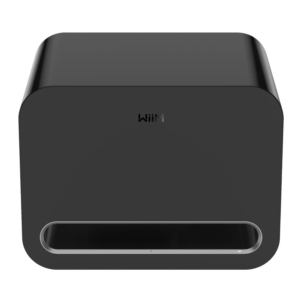Wiim Sub Pro Clase D Bluetooth WiFi Subwoofer